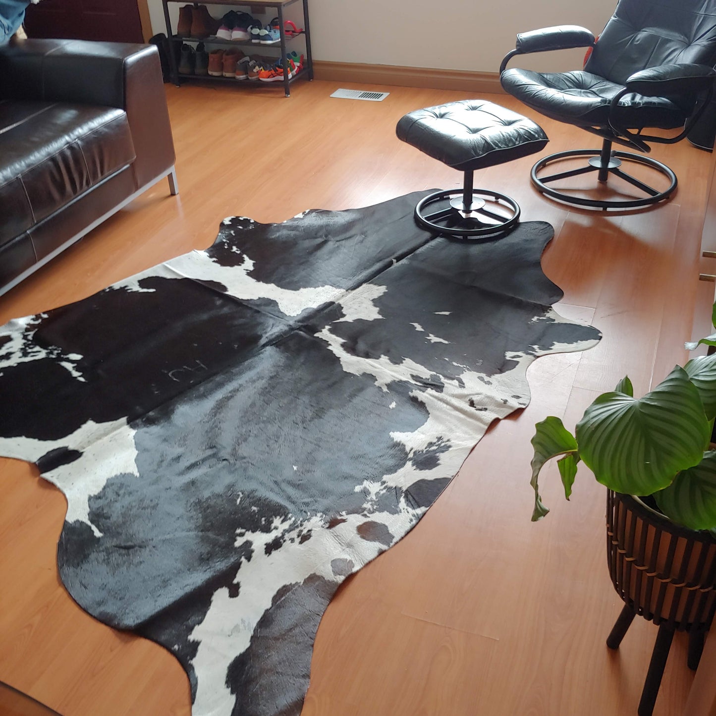 Beautiful Luxury Brazilian Cow Hide Area Rug 6x7