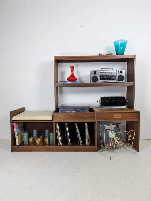 Mid Century Danish Modern Modular Record Cabinet